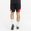 Acm Iconic Mcs Mesh Shorts Logo &laquo;Rød&raquo;