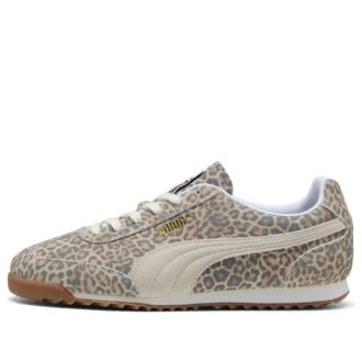 Arizonas «Leopard»