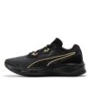 Aviator ProFoam Sky «Black Team Gold»
