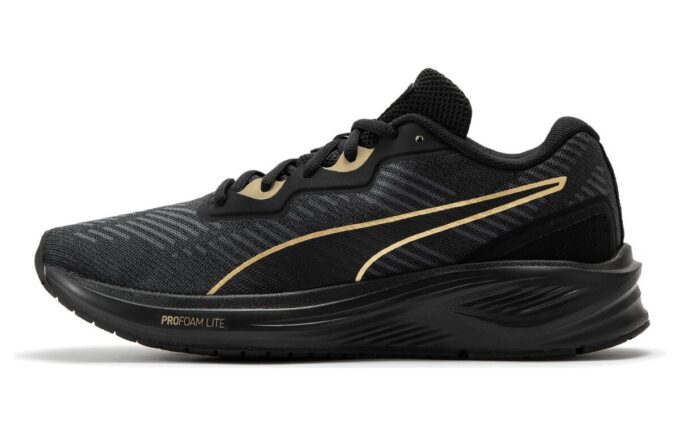 Aviator ProFoam Sky «Black Team Gold»