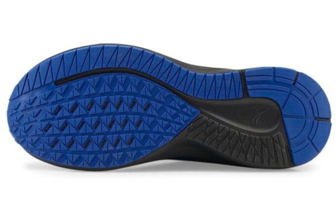 Aviator ProFoam Sky &laquo;Svart Victoria Blå&raquo;