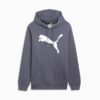 Big Cat Menn Logo Hettegenser