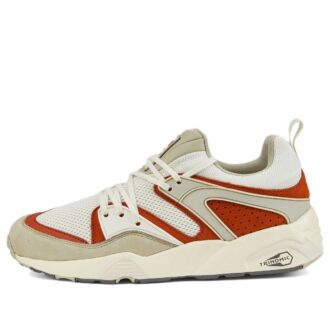 Blaze Of Glory &laquo;Vaporous Grey Warm Chestnut&raquo;