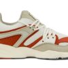 Blaze Of Glory &laquo;Vaporous Grey Warm Chestnut&raquo;