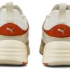 Blaze Of Glory &laquo;Vaporous Grey Warm Chestnut&raquo;