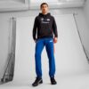 BMW M Motorsport Voltaic Evo Herre Sneakers