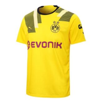 Borussia Dortmund Axel Witsel 28 Third Cup-trøye &laquo;Yellow&raquo;
