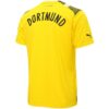 Borussia Dortmund Axel Witsel 28 Third Cup-trøye &laquo;Yellow&raquo;
