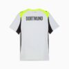 Borussia Dortmund Replica Bortedrakt 25/26 Herre