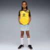 Borussia Dortmund Replica Hjemmedrakt 25/26 Barnedrakt