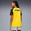 Borussia Dortmund Replica Hjemmedrakt 25/26 Barnedrakt