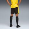 BVB Herre Fotballshorts
