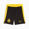 BVB Herre Fotballshorts