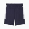 C.F. Monterrey Herre Fotballshorts