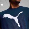 Essentials Big Cat Menn T-skjorte