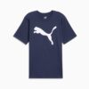 Essentials Big Cat Menn T-skjorte