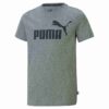 Essentials Big Kids’ Logo-t-skjorte