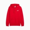 Essentials Menn Liten Logo Hettegenser