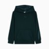 Essentials Satin Big Kids Fleece Hettegenser