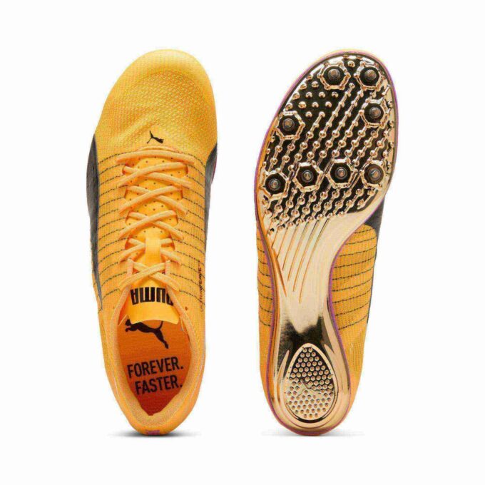 evoSPEED Brush 6 Friidrettspigger for sprint