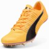 evoSPEED Brush 6 Friidrettspigger for sprint