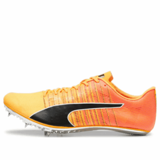 evoSpeed  Brush 6 &laquo;Sun Stream Black&raquo;