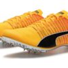 evoSpeed  Brush 6 &laquo;Sun Stream Black&raquo;