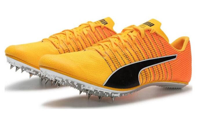 evoSpeed  Brush 6 &laquo;Sun Stream Black&raquo;