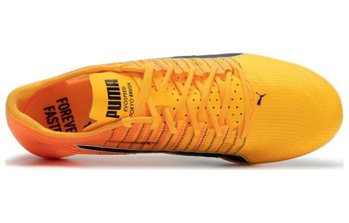 evoSpeed  Brush 6 &laquo;Sun Stream Black&raquo;
