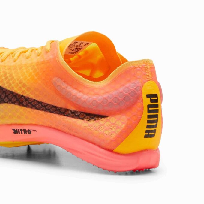 evoSPEED Distance NITRO™ Elite+ 4 Menn Friidrettspigger