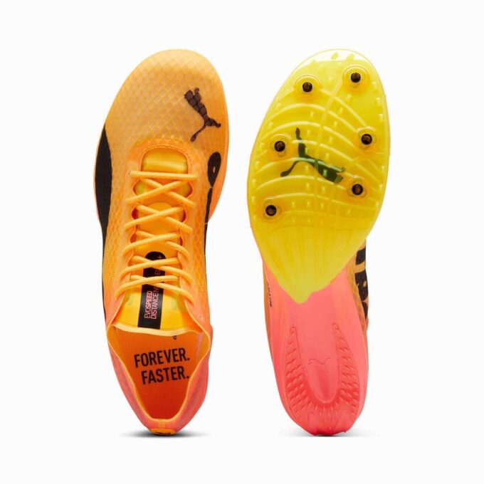 evoSPEED Distance NITRO™ Elite+ 4 Menn Friidrettspigger