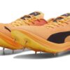 EvoSpeed  Nitro Elite 2 &laquo;Sun Stream Sunset Glow&raquo;