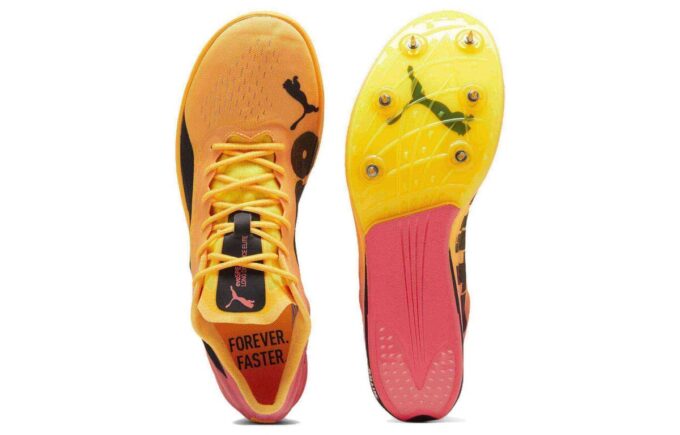 EvoSpeed  Nitro Elite 2 &laquo;Sun Stream Sunset Glow&raquo;