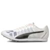 Evospeed Sportssko Grå/Svart