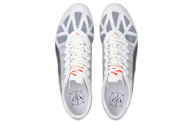 Evospeed Sportssko Grå/Svart