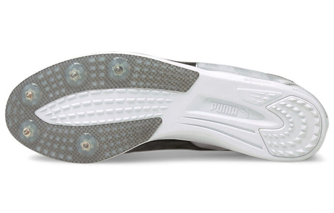 Evospeed Sportssko Grå/Svart