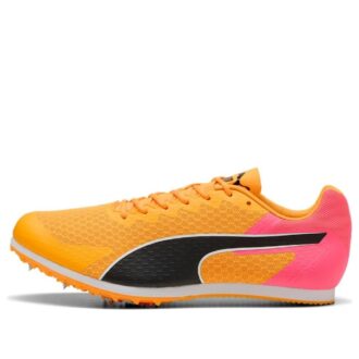 evoSPEED Star 9 &laquo;Sun Stream&raquo;