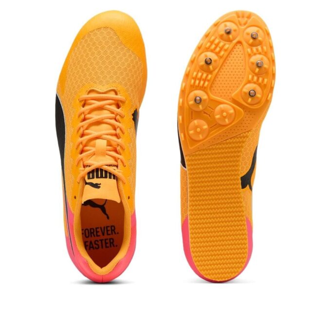 evoSPEED Star 9 &laquo;Sun Stream&raquo;
