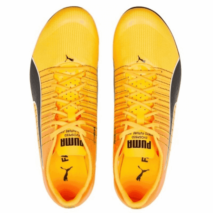 evoSpeed  Tokyo Future Faster «Sun Stream Sunset Glow»