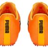 evoSPEED Tokyo Nitro «Sun Stream»