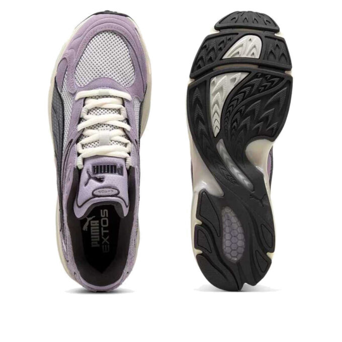Extos Collector &laquo;Glacial Grey Pale Plum&raquo;