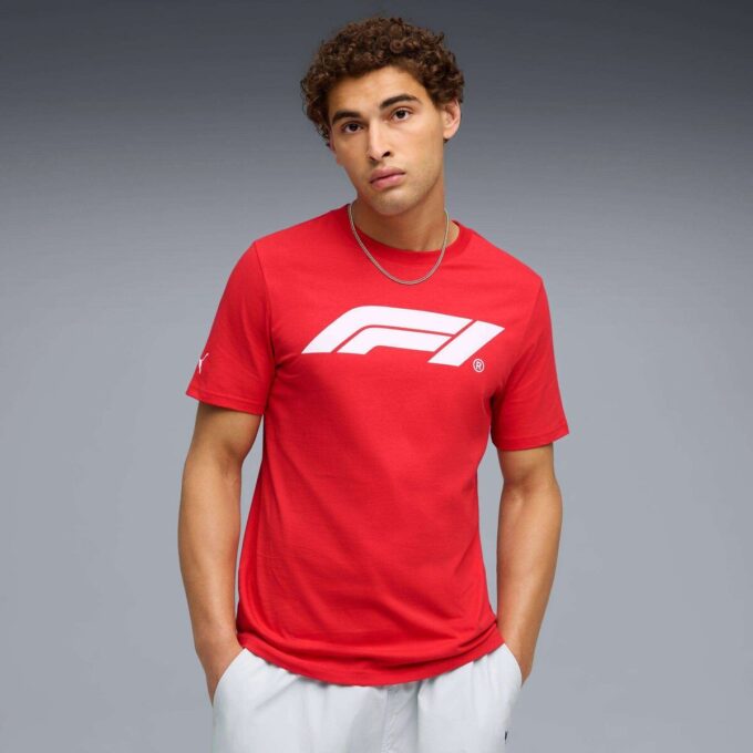 Formula 1® Motorsport Essentials Herre-T-skjorte