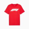 Formula 1® Motorsport Essentials Herre-T-skjorte