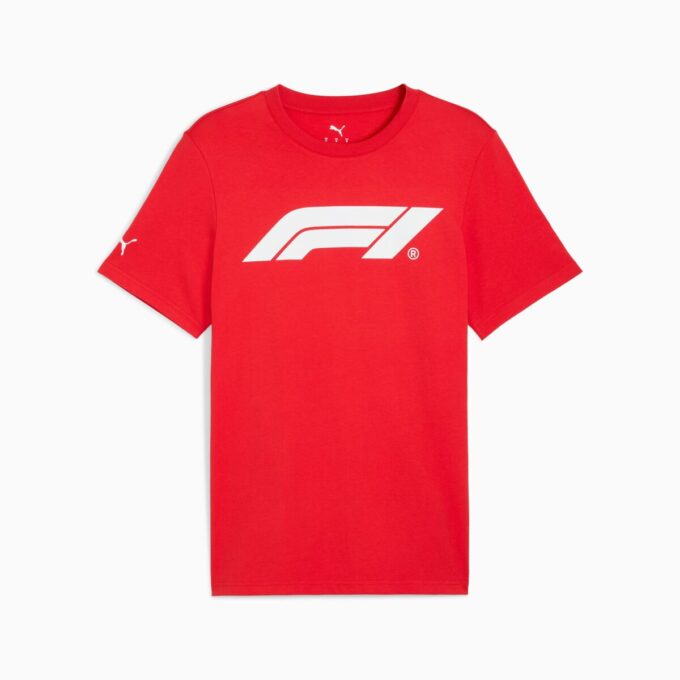 Formula 1® Motorsport Essentials Herre-T-skjorte