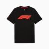 Formula 1® Motorsport Essentials Herre-T-skjorte