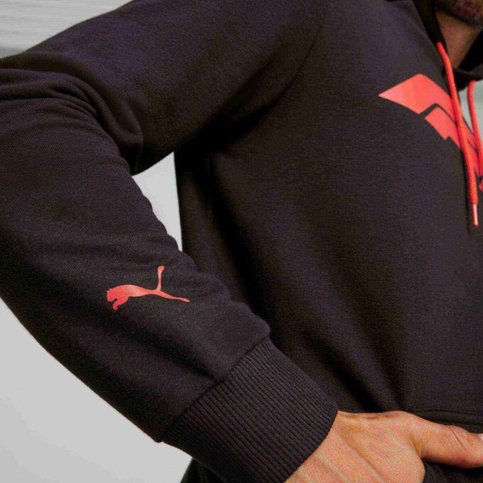 Formula 1® Motorsport Essentials Menn Hettegenser