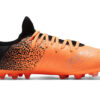 (GS) Future Z 4.3 &laquo;Oransjesvart&raquo;