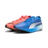 Hurtighjulsdrift Nitro Elite &laquo;Fire Orchid Ultra Blue Mismatch&raquo;