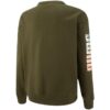 Modulerwear Crew Neck &laquo;Grønn&raquo;