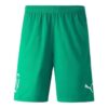 Neymar Jr. Fotballshorts &laquo;Grønn&raquo;